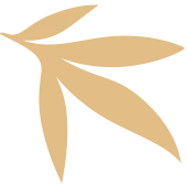 Shape1